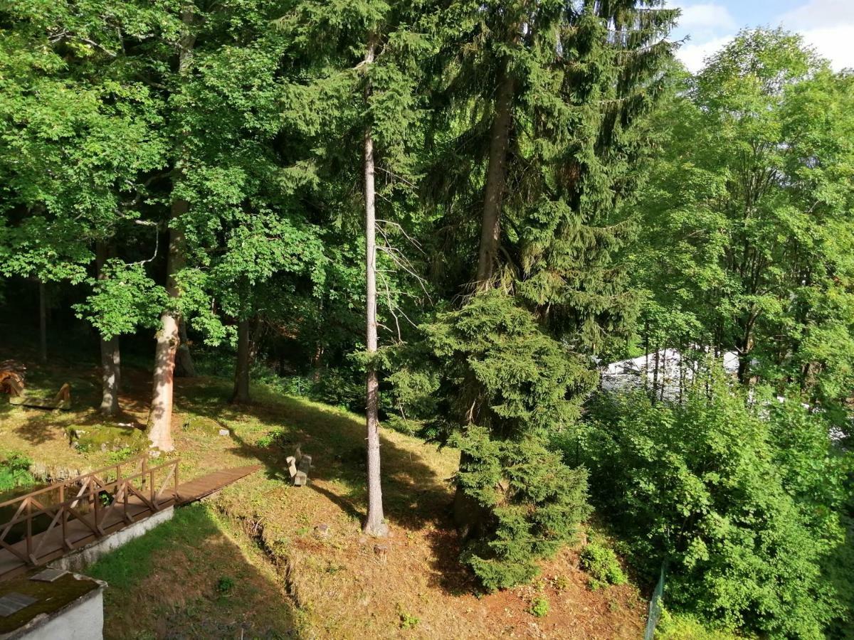 Mariánské Lázně Parkhotel Forest מראה חיצוני תמונה